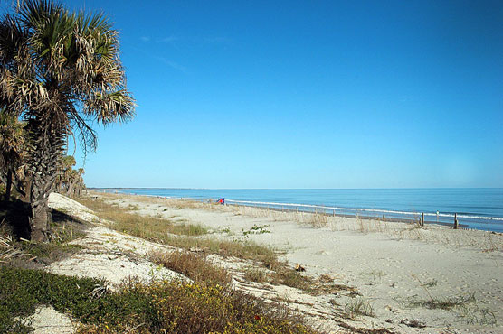 Edisto Beach