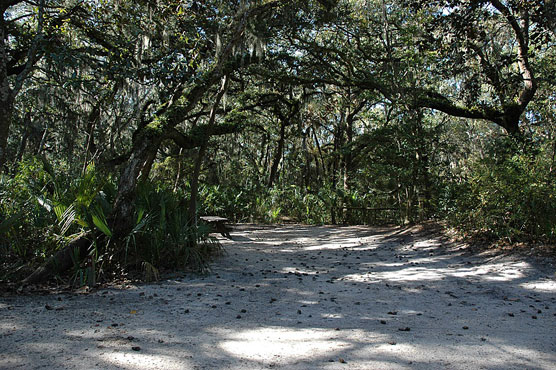 Little Talbot Island 024