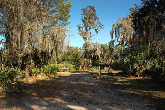 Little Manatee River 019