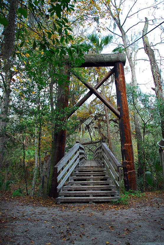 Suspension Bridge