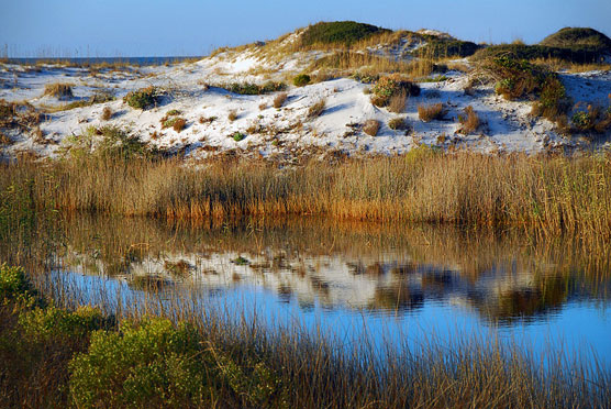 Dunes Reflection