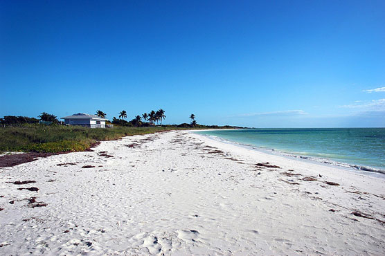 Bahia Honda Beach 1