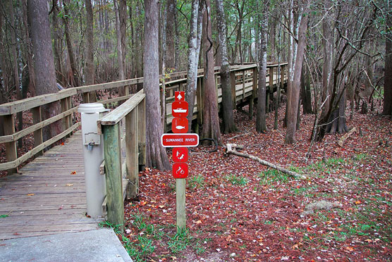 Boardwalk to Suwannee