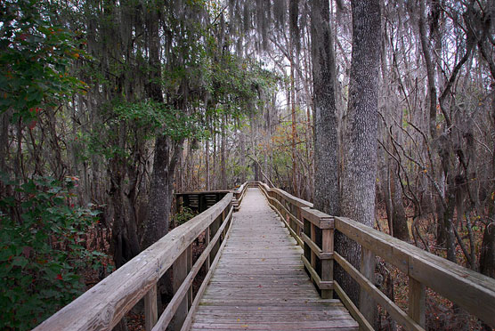 Manatee Boardwalk