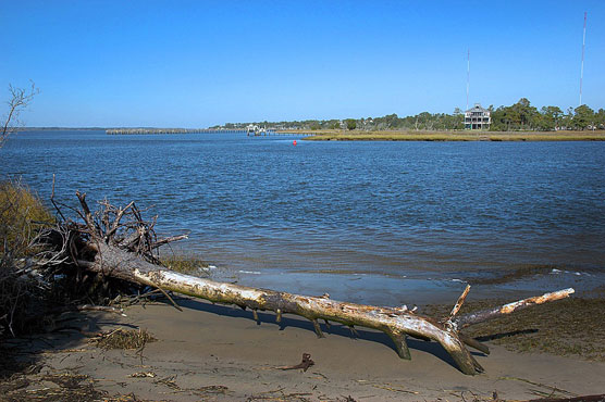 Carolina Beach View