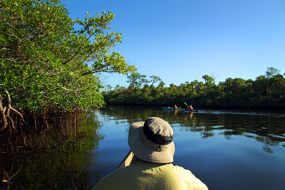 Kayak 2