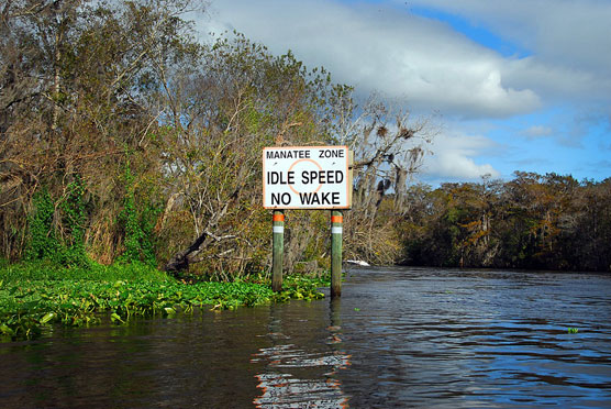 Manatee Zone