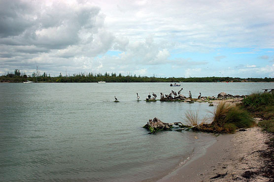 Sebastian Inlet Fishermen