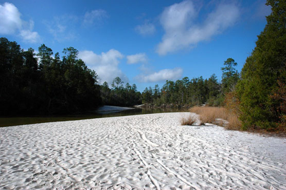 Blackwater River Beach