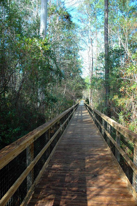 Blackwater River Boardwalk