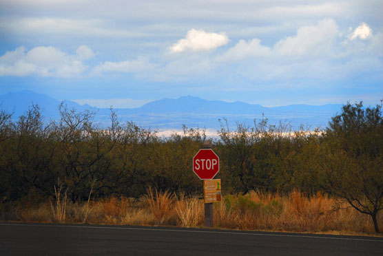 Stop and Look