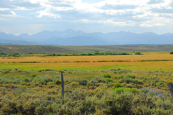 The Rockies