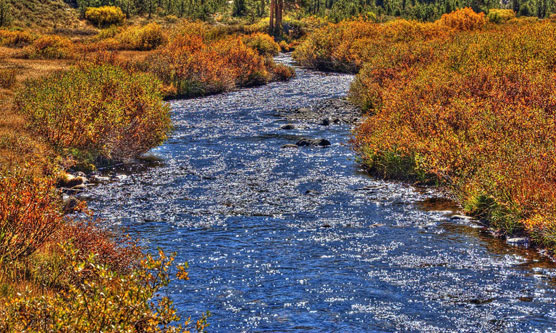 Saddlebag-Creek