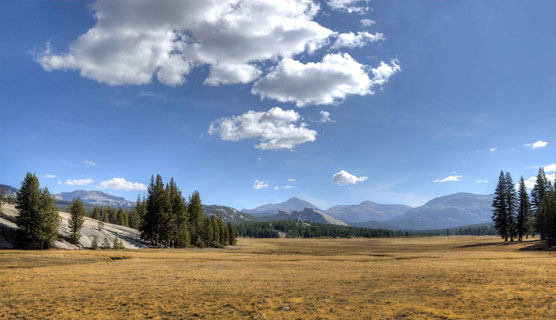 Tuolumne-Meadows