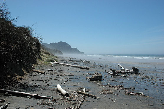 Washburne Beach