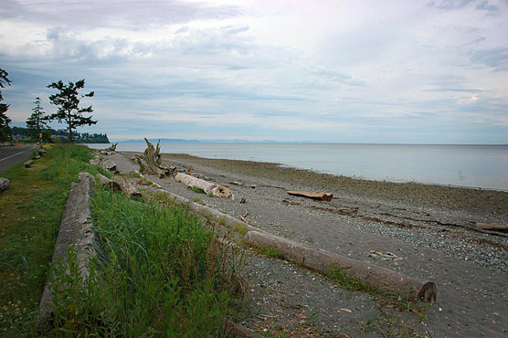 Birch-Bay-Beach