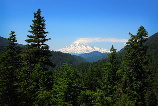 Mt-Rainier-1