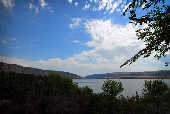 Tree-View-of-Gorge