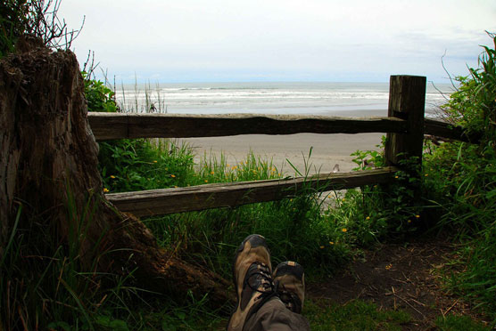 Kalaloch_Campsite