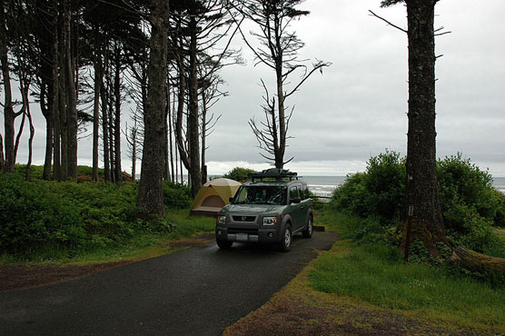 Kalaloch_D036