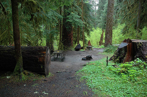 Sol_Duc_044