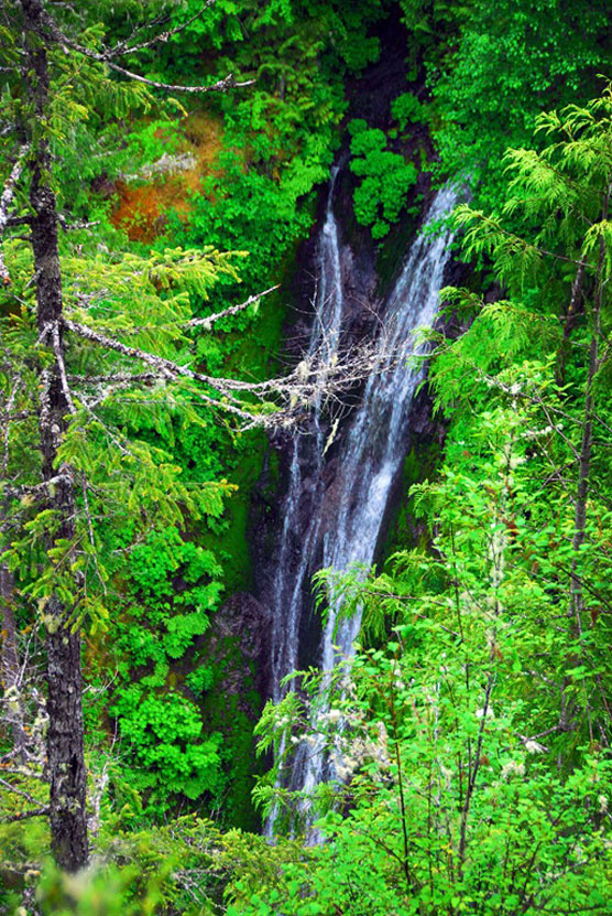 Falls-View-2