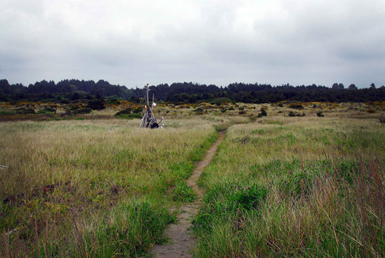 Path-to-Beach-2