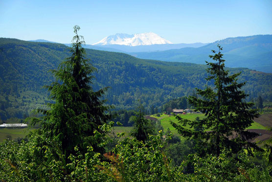 Mt-St-Helens-1