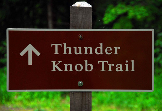 Thunder-Knob