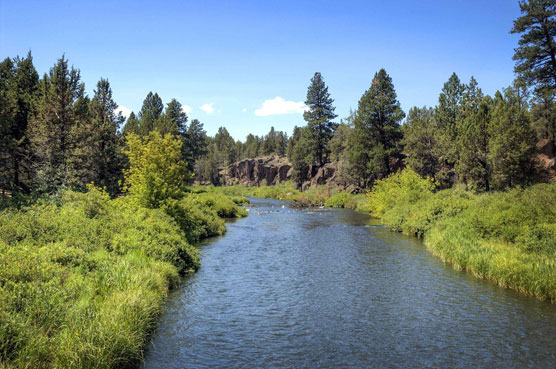 Tumalo-River-View