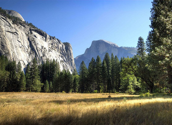 Half-Dome-Shade