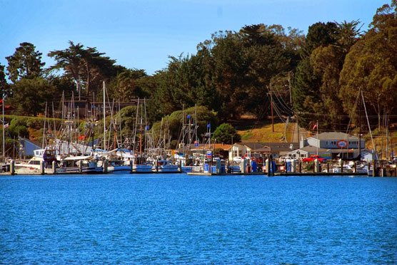 Bodega-Bay-Marina