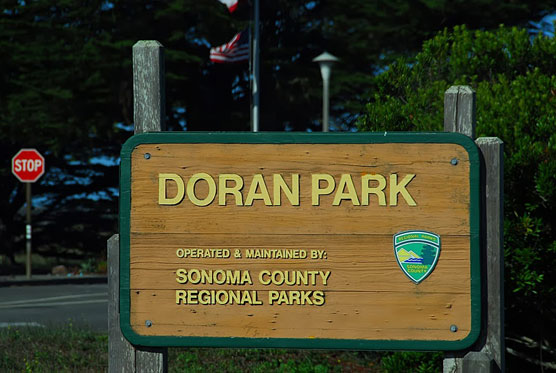 Doran-Sign