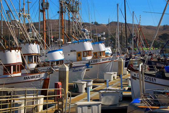 Fishing-Boats-1