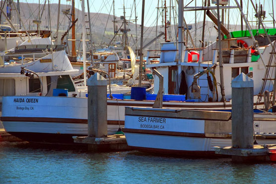 Fishing-Boats-2