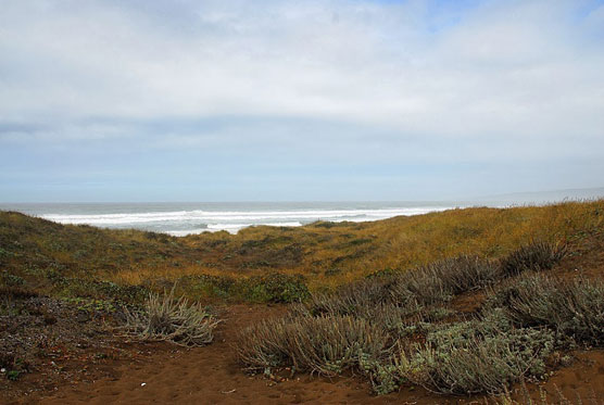 Manchester-Beach