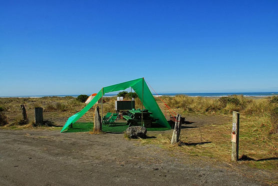 Gold-Bluffs-Beach_013