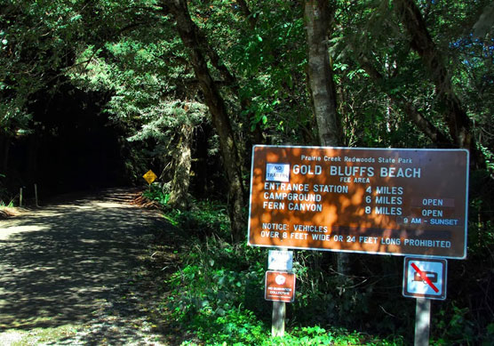 Road-to-Gold-Bluffs-Beach-1