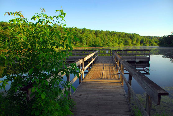 Lake-Alice-Fishing-Pier