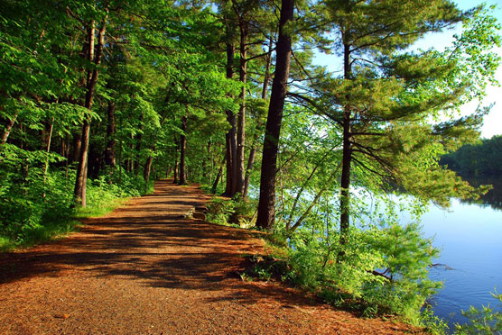 River-Trail