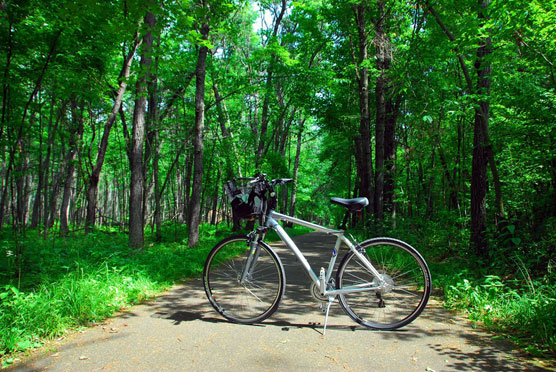 Wild-River-Bike-Trail-1