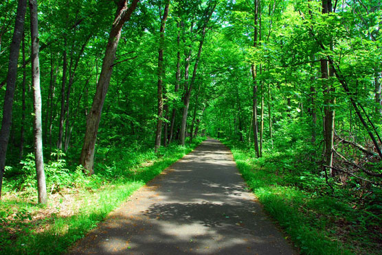 Wild-River-Bike-Trail-2