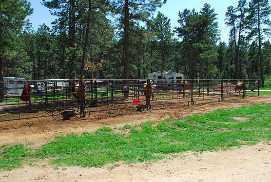 French-Creek-Stables