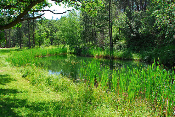 Grace-Coolidge-Pond