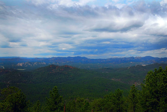 Black-Hills-View-1