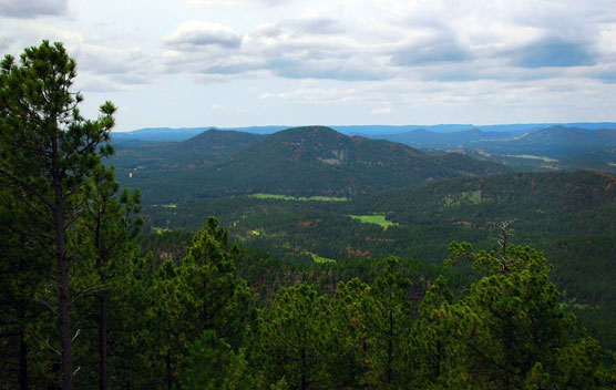 Black-Hills-View-2