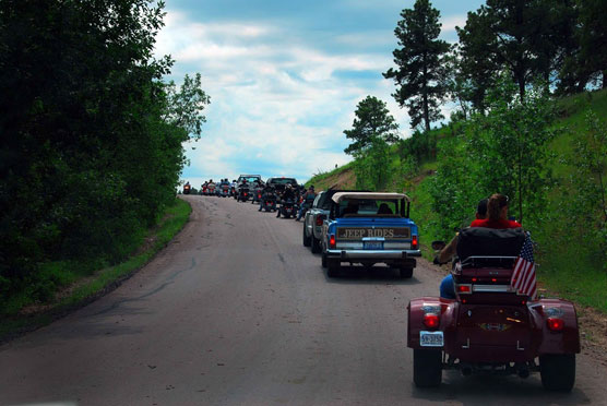 Buffalo-Road-Block