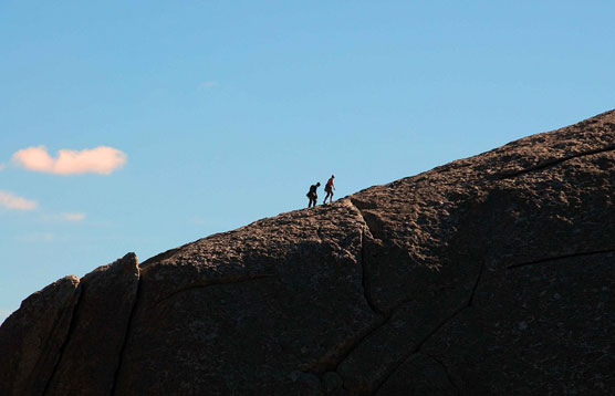 Elephant-Climbers