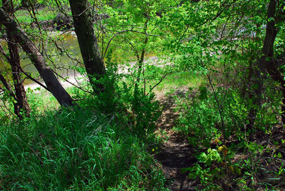 Path-to-Beach