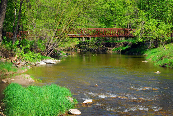 Redwood-Bridge-1